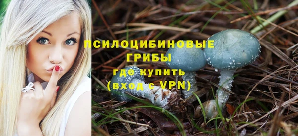 гашик Волоколамск