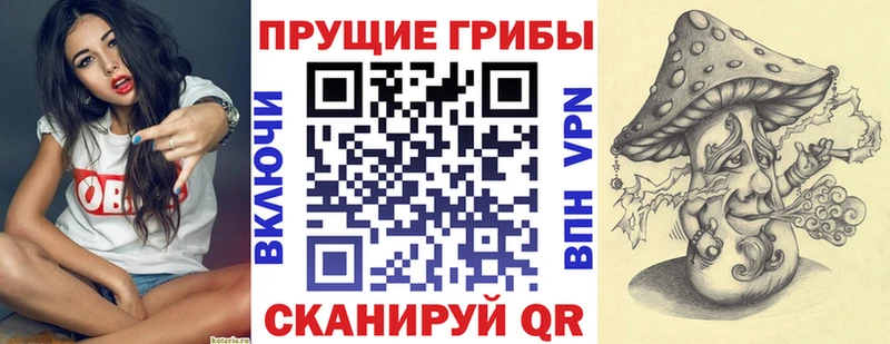 Псилоцибиновые грибы GOLDEN TEACHER  наркота  Елизаветинская 