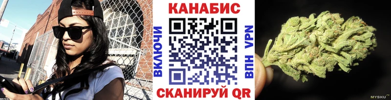 Бошки марихуана AK-47  закладка  Елизаветинская 